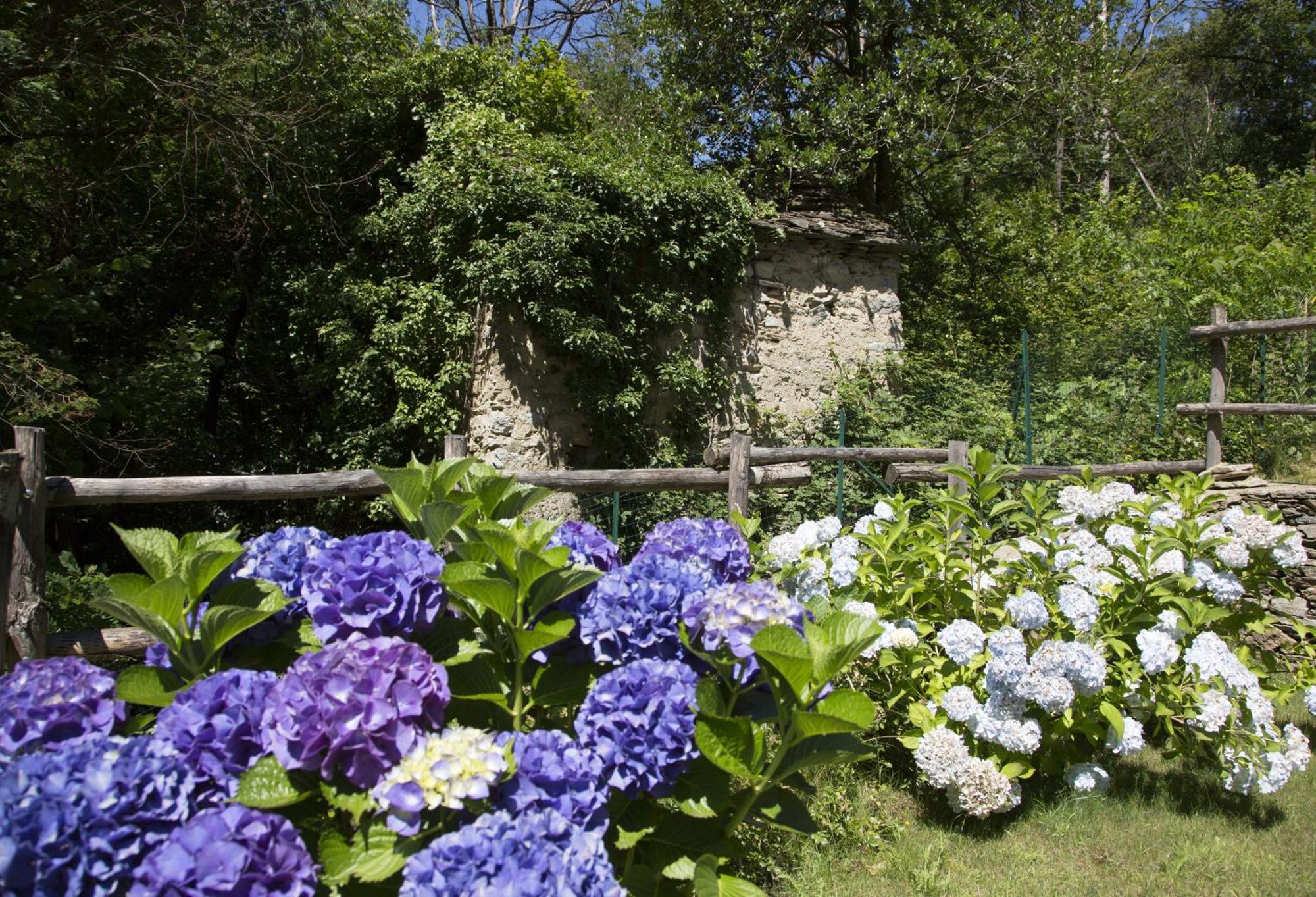 Agriturismo Rossolampone San Bernardino Verbano Room photo